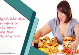 Người béo phì - thừa cân thường có nguy cơ mắc bệnh ung thư dạ dày cao