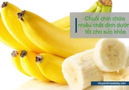 Trong chuối chín có chứa nhiều chất dinh dưỡng tốt cho sức khỏe con người