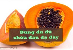 Quả đu đủ có khả năng chữa đau dạ dày