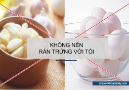 Trứng và tỏi là hai loại thực phẩm kỵ nhau