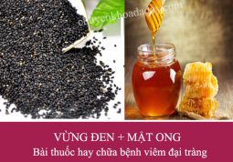 Bài thuốc chữa viêm đại tràng từ hạt vừng đen và mật ong