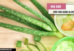 Chữa trào ngược dạ dày bằng nha đam