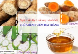 Bài thuốc từ củ nghệ vàng chữa viêm đại tràng