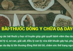 Công dụng của Đông y trong xử lý đau dạ dày